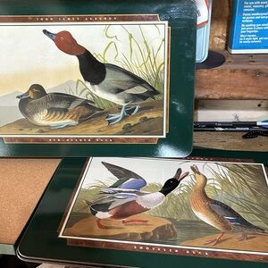 Jason Placemats John James Audubon